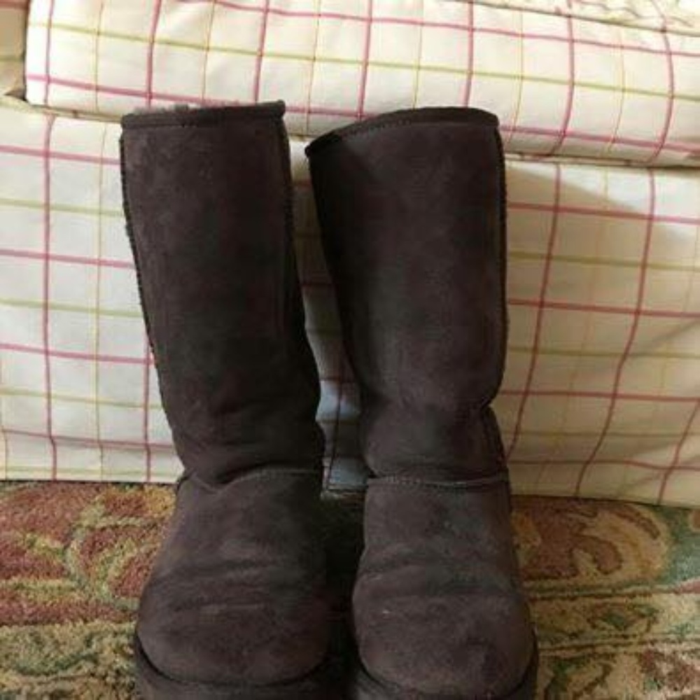 Women's Chocolate Brown Uggs
